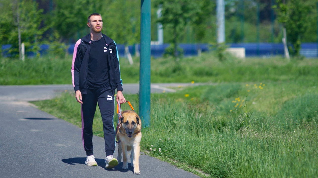 Champion(s) — Derniers réglages