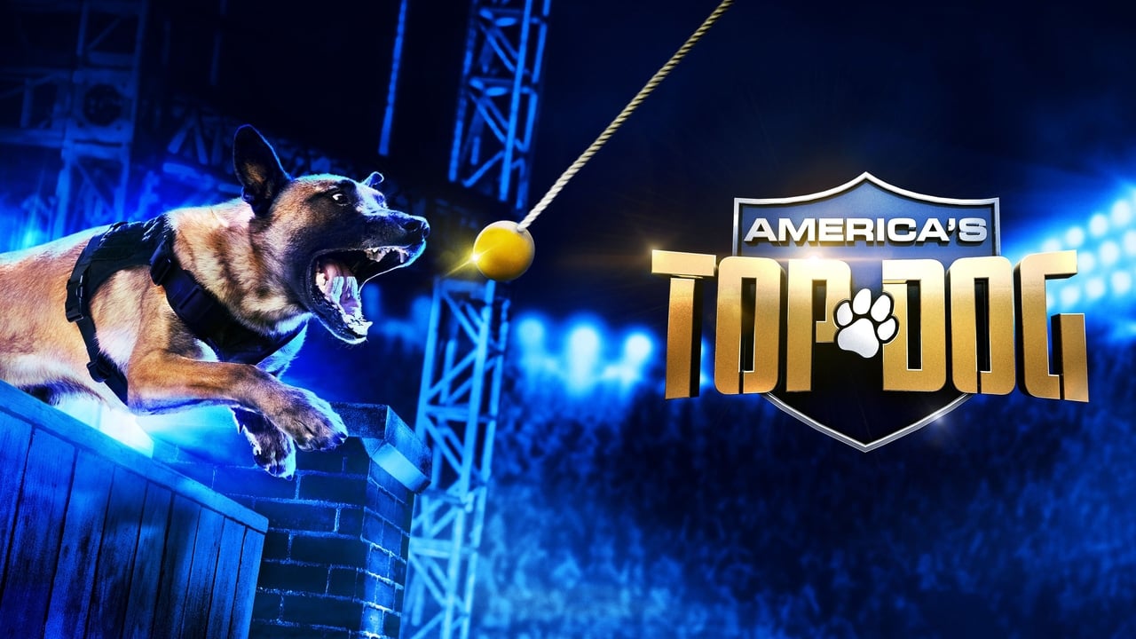 America's Top Dog background