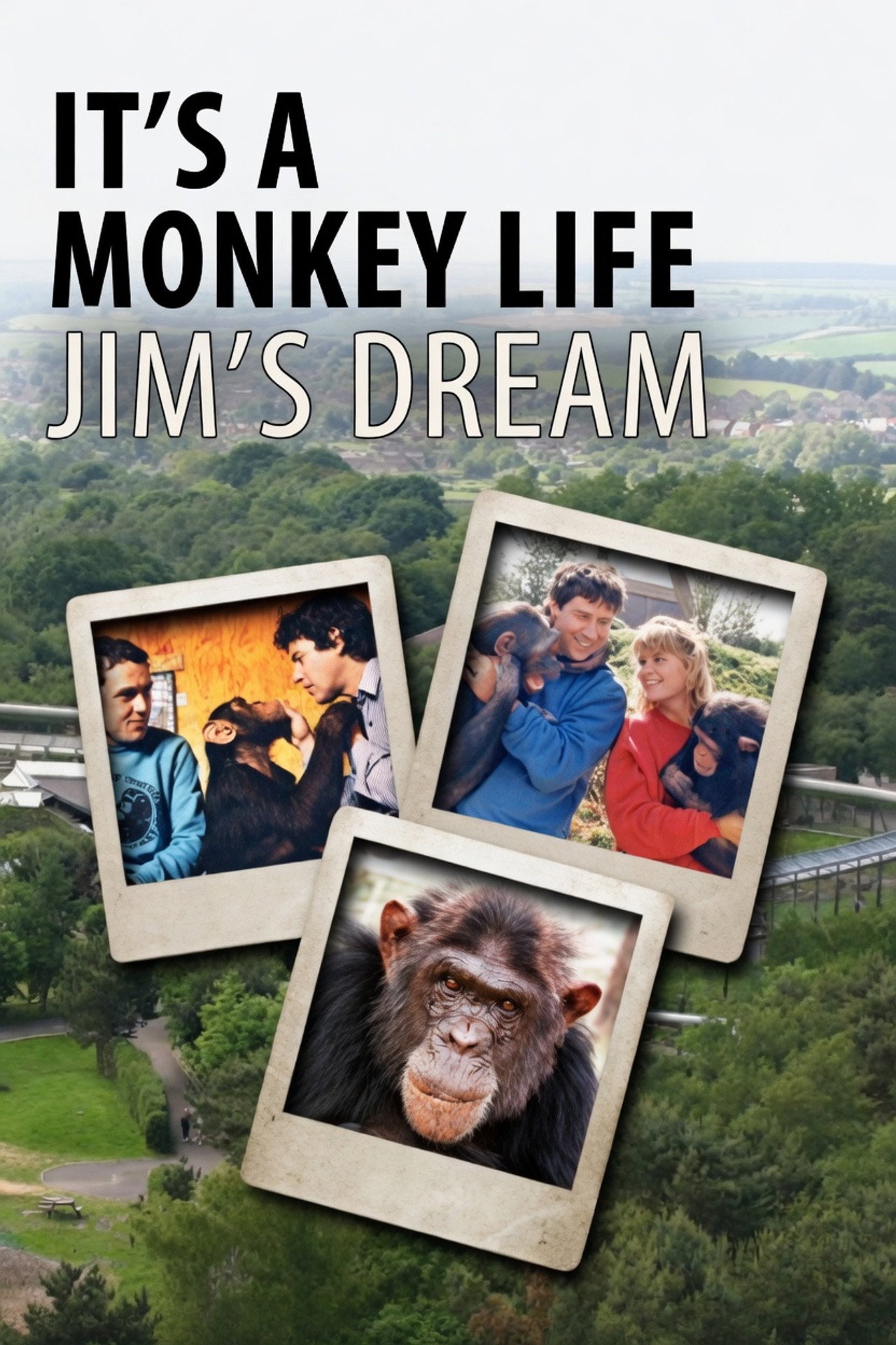 It's a Monkey Life: Jim's Dream filmaffisch