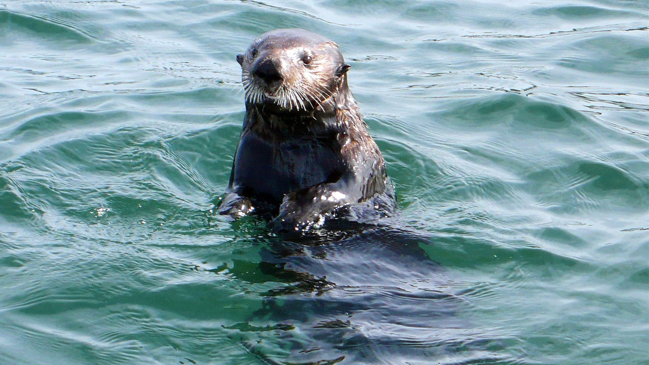 Deadly 60 — Épisode 4