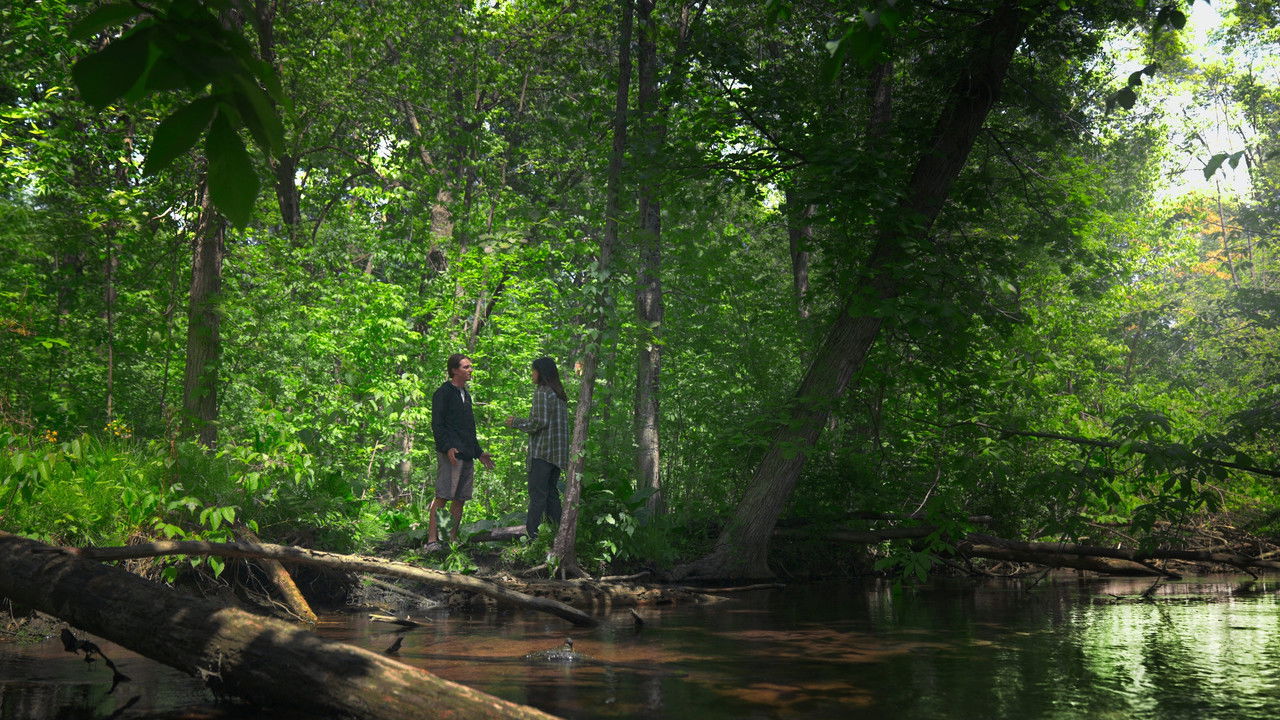 Lost Together backdrop