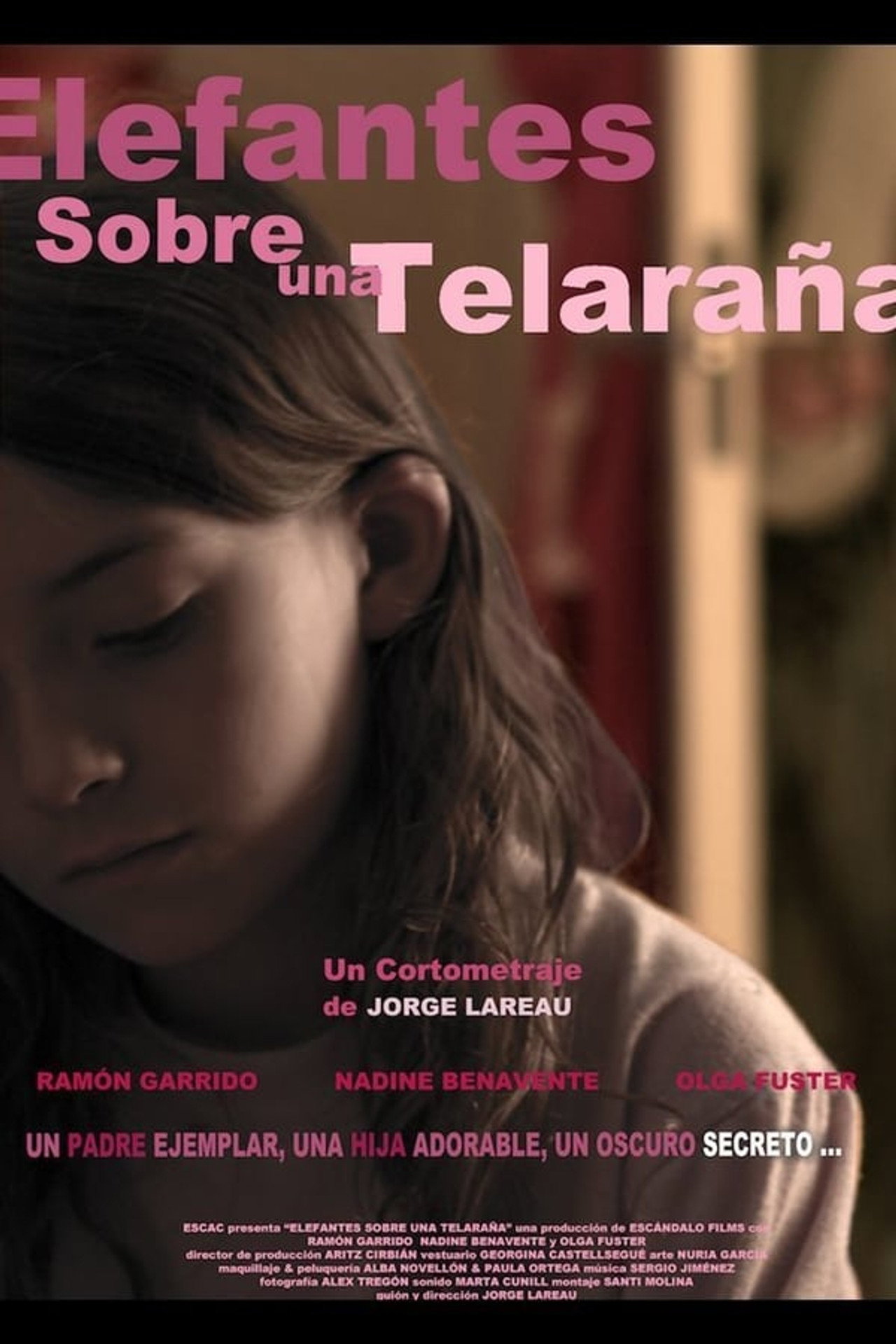 Elefantes sobre una telaraña filmaffisch