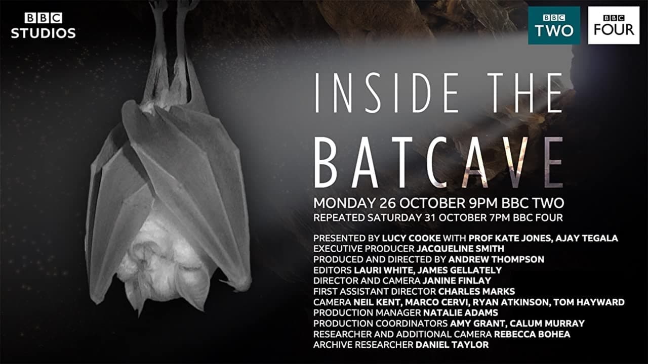 Inside the Bat Cave background