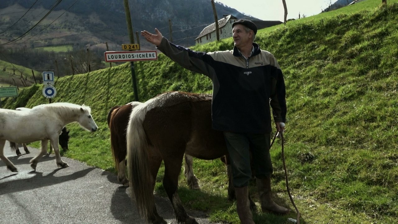 Un berger et deux perchés à l'Elysée ? background