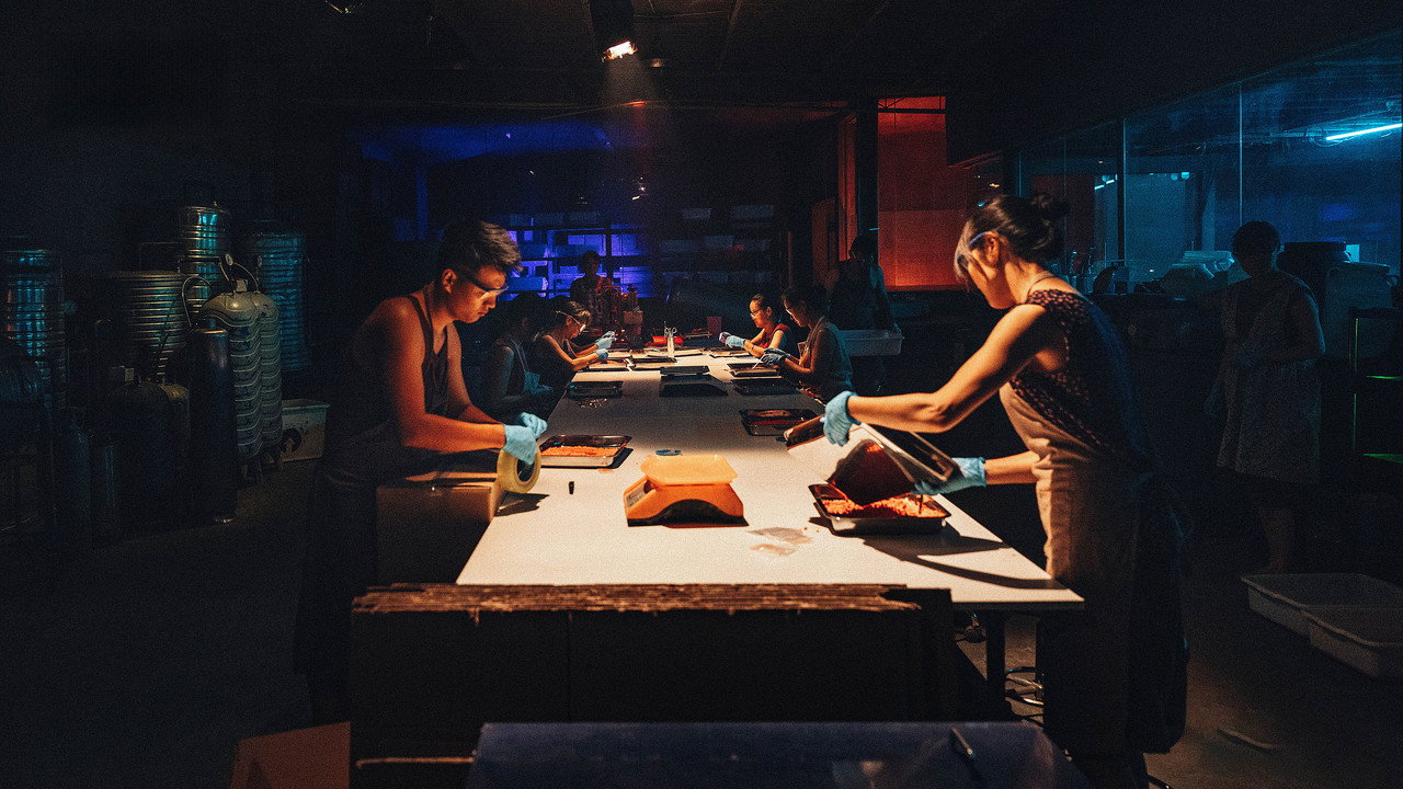 Being a Hero — still 14