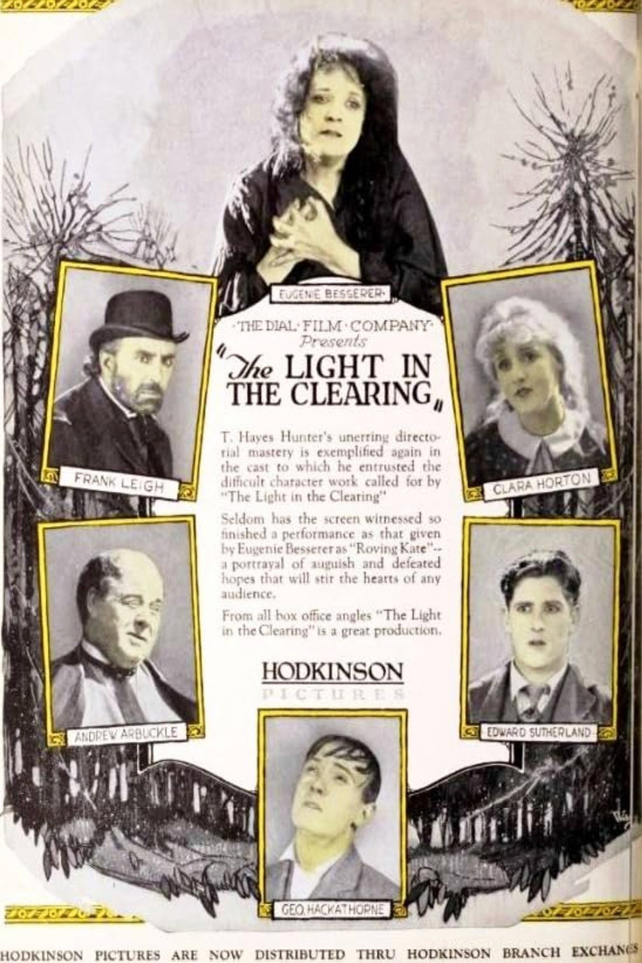 The Light in the Clearing