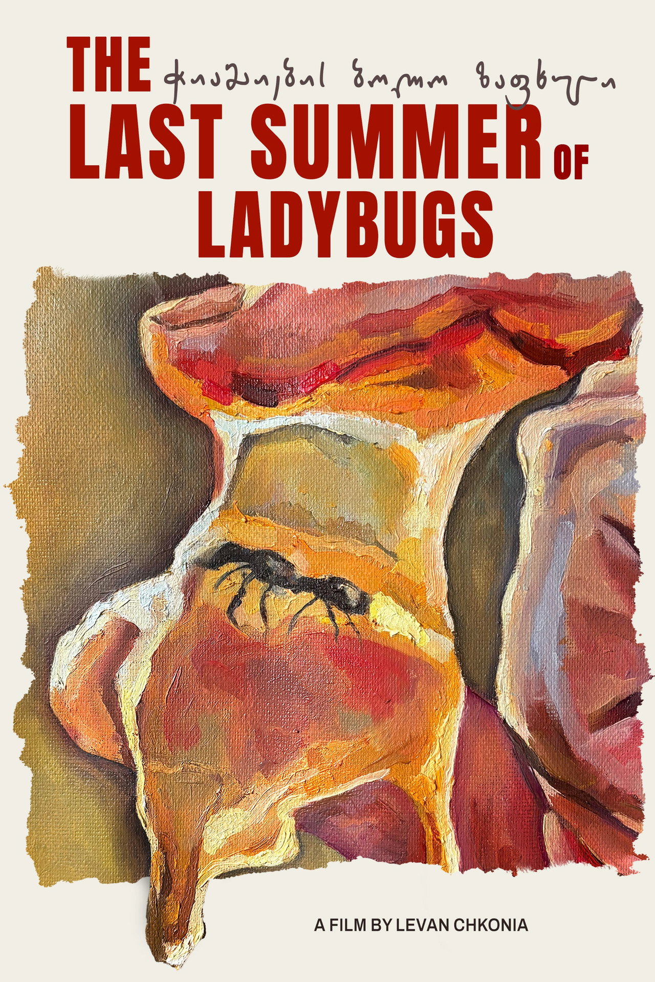 The Last Summer of Ladybugs poster