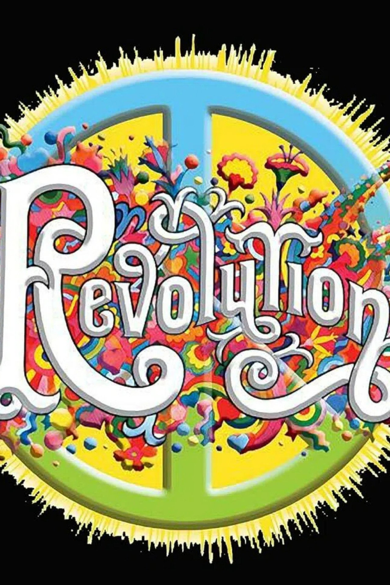 Revolution: The Legacy of the Sixties poster
