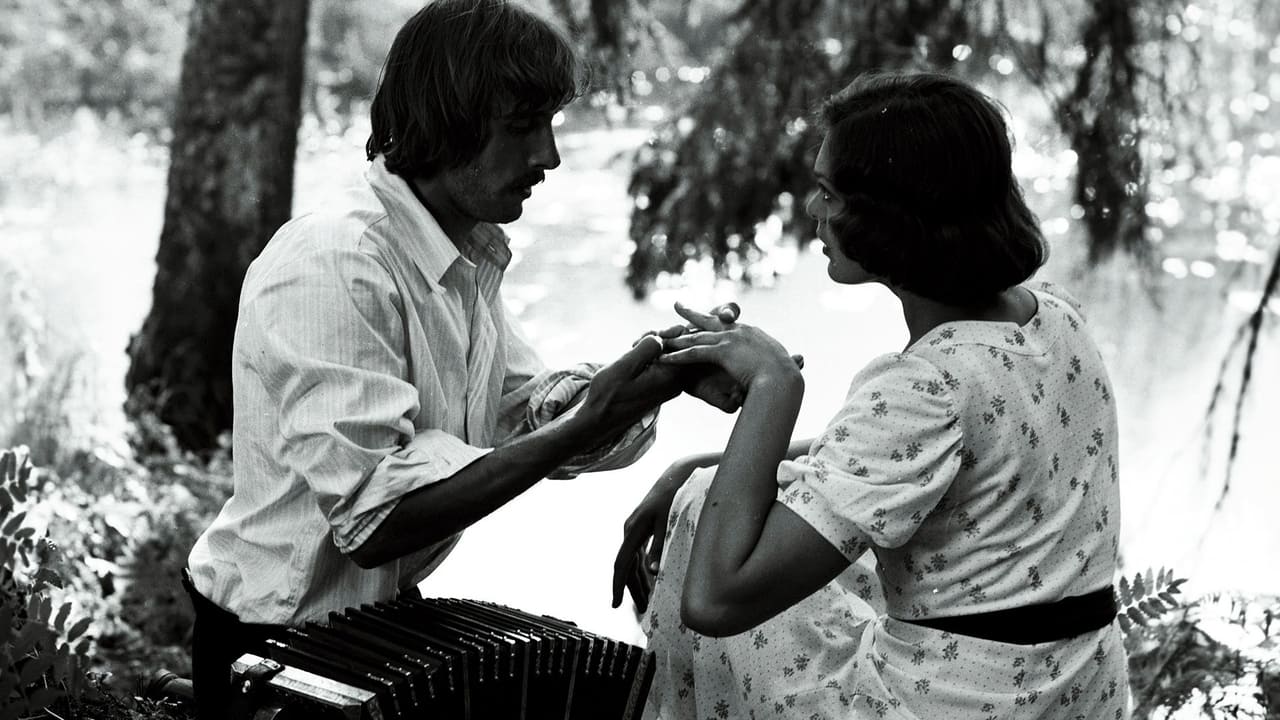 Cast and Crew of Spring in the Forest