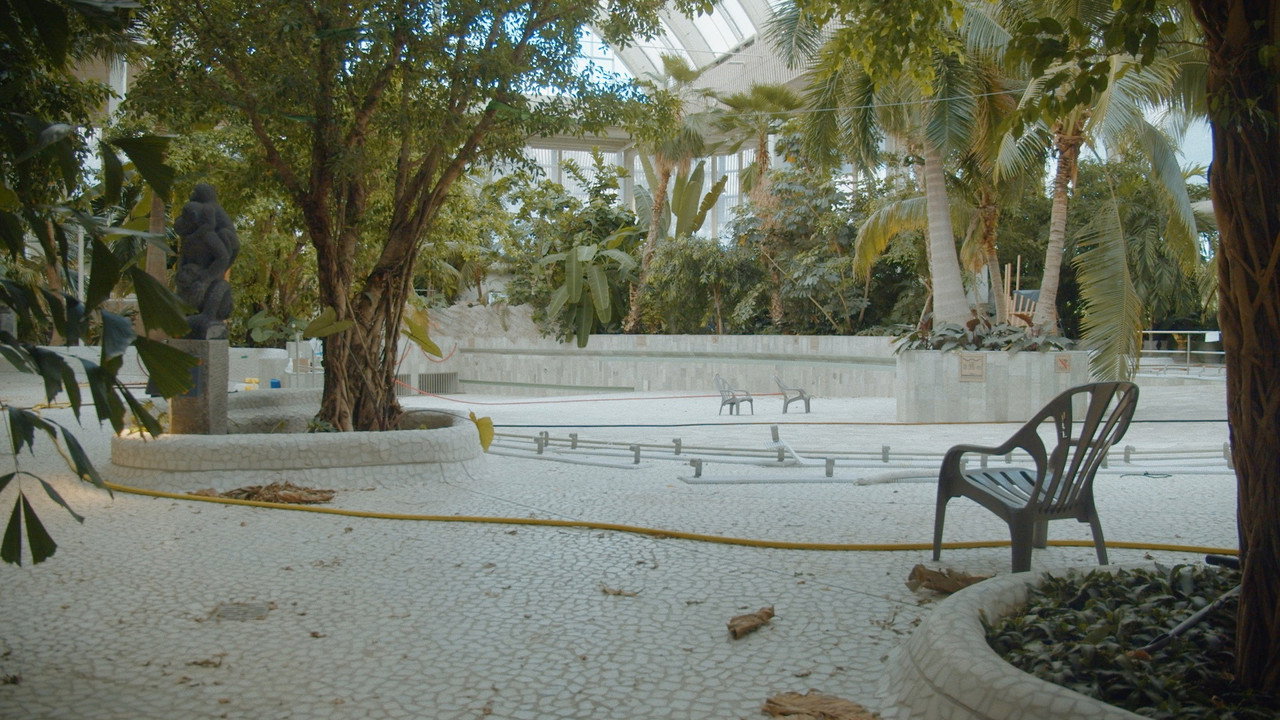 Immagine di copertina del trailer di Urlau(b)