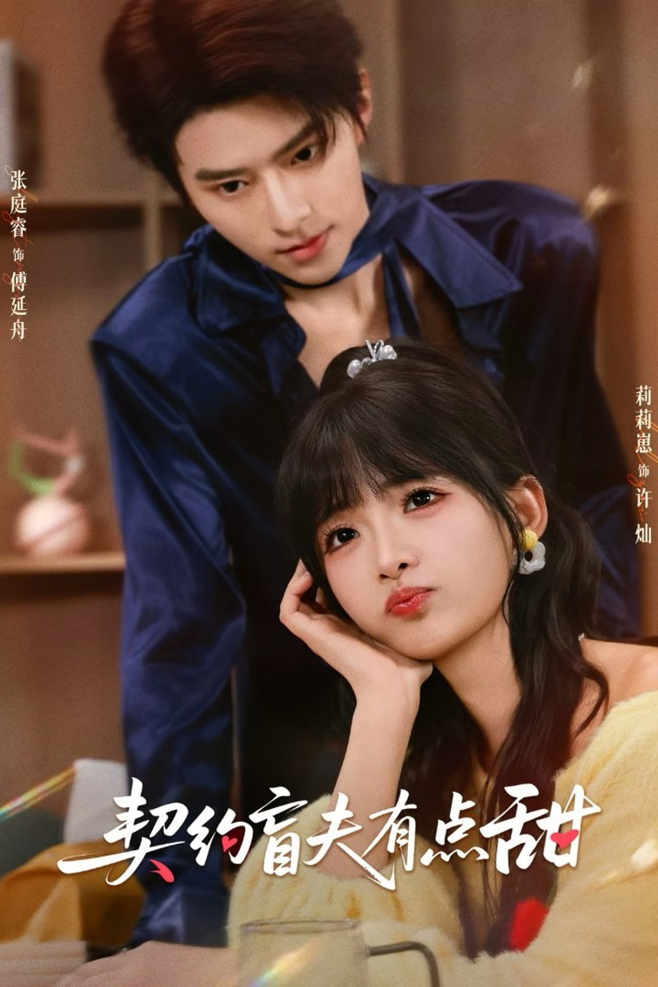 契约盲夫有点甜 affisch