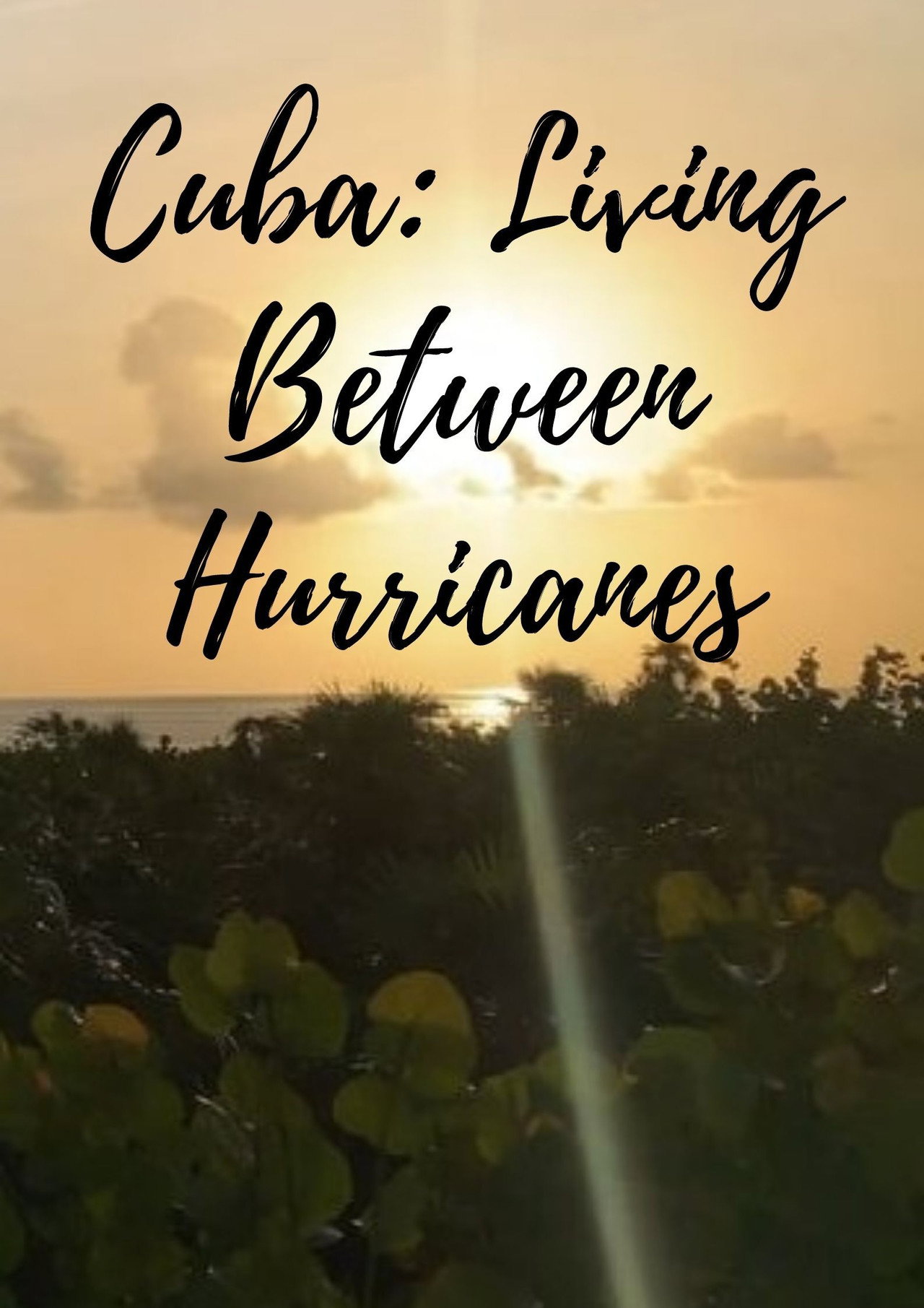 Cuba: Living Between Hurricanes filmaffisch