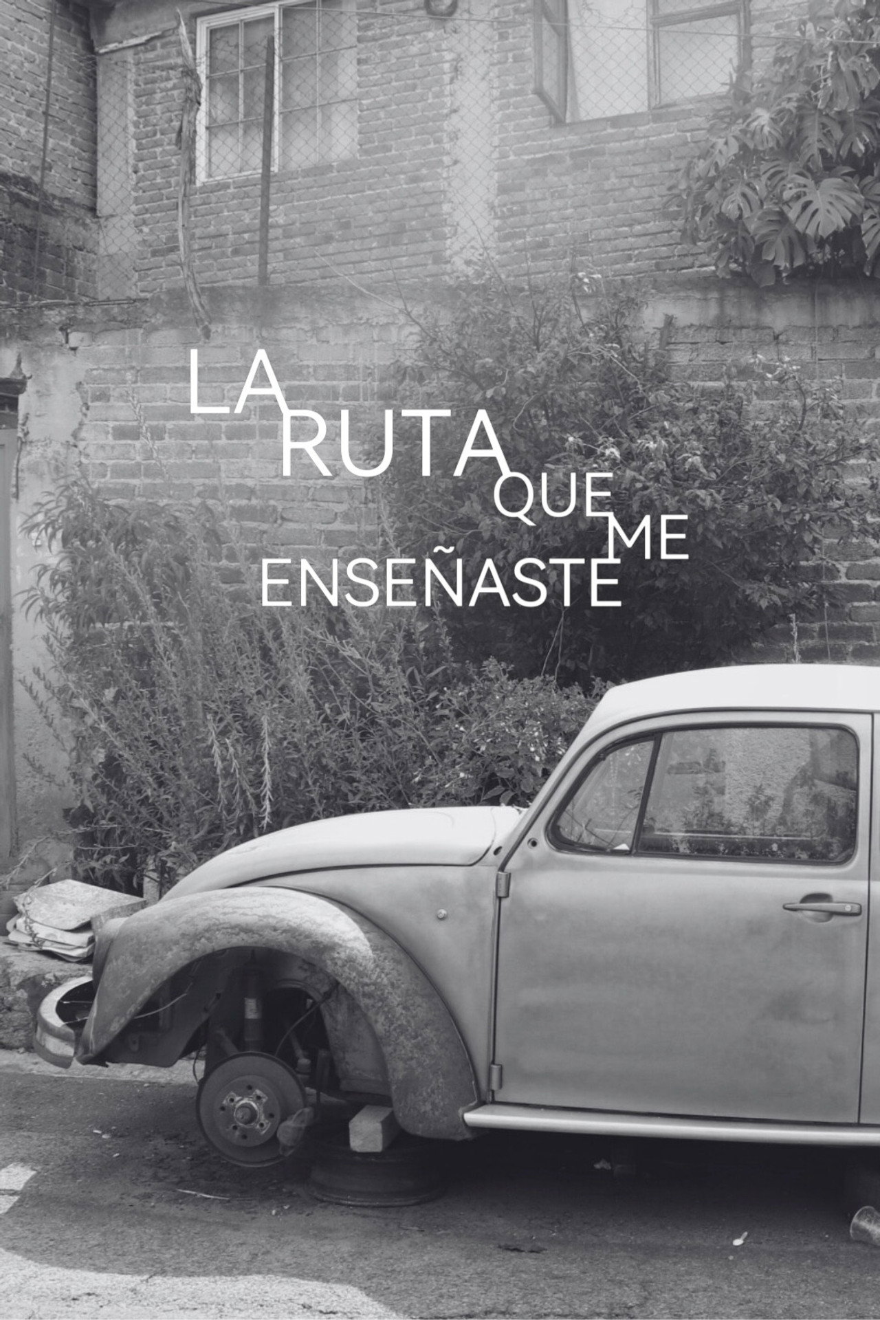 La ruta que me enseñaste filmaffisch