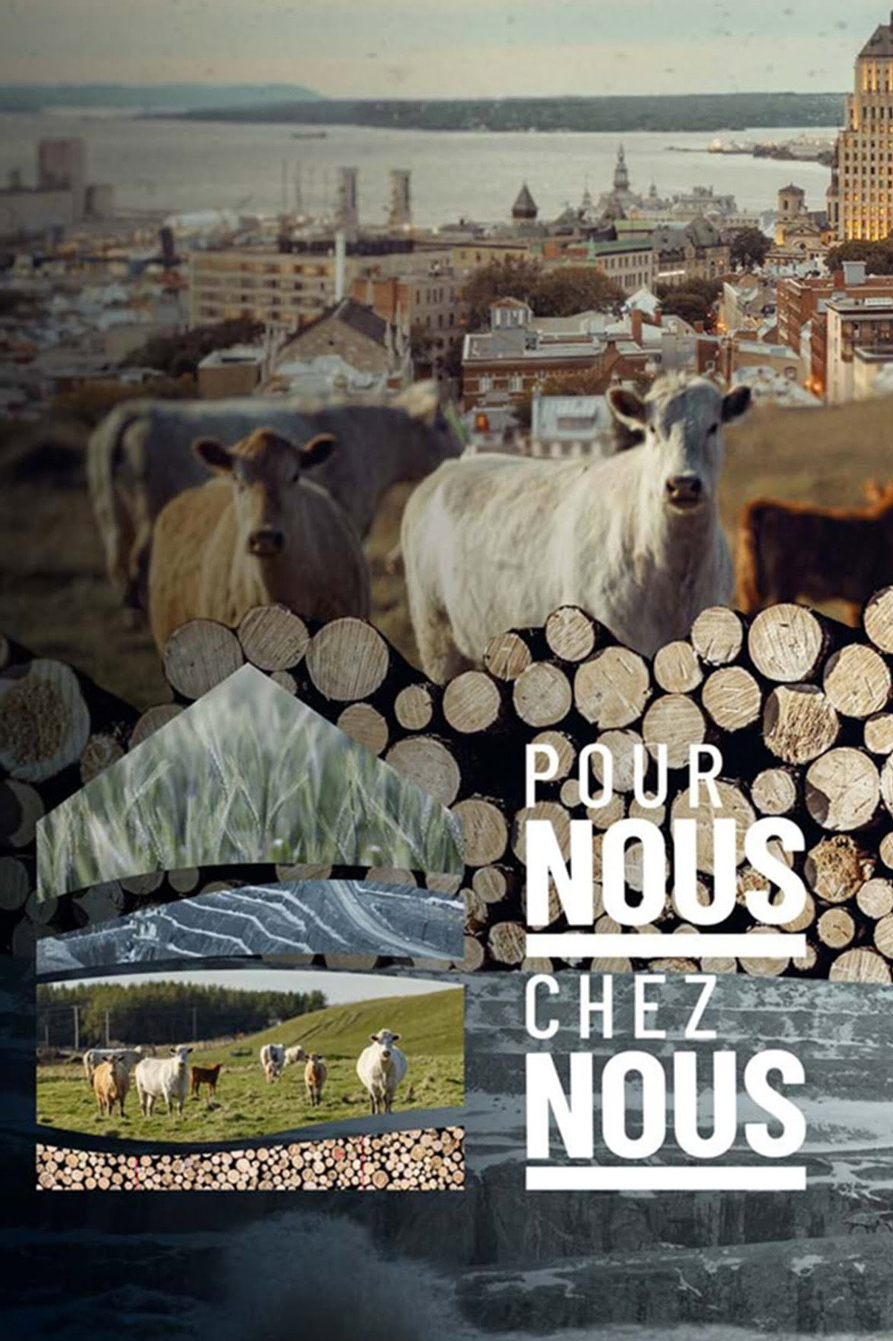 Pour nous chez nous filmaffisch