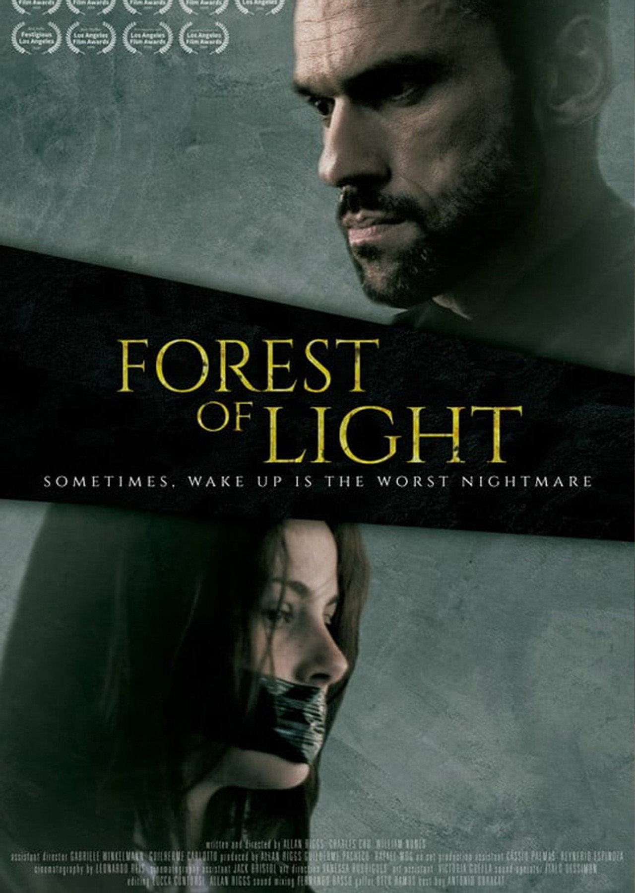 Floresta da luz filmaffisch