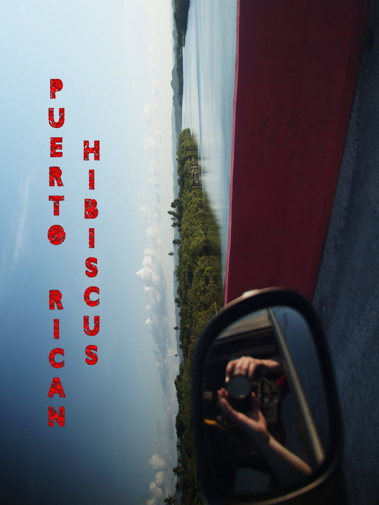 Puerto Rican Hibiscus filmaffisch