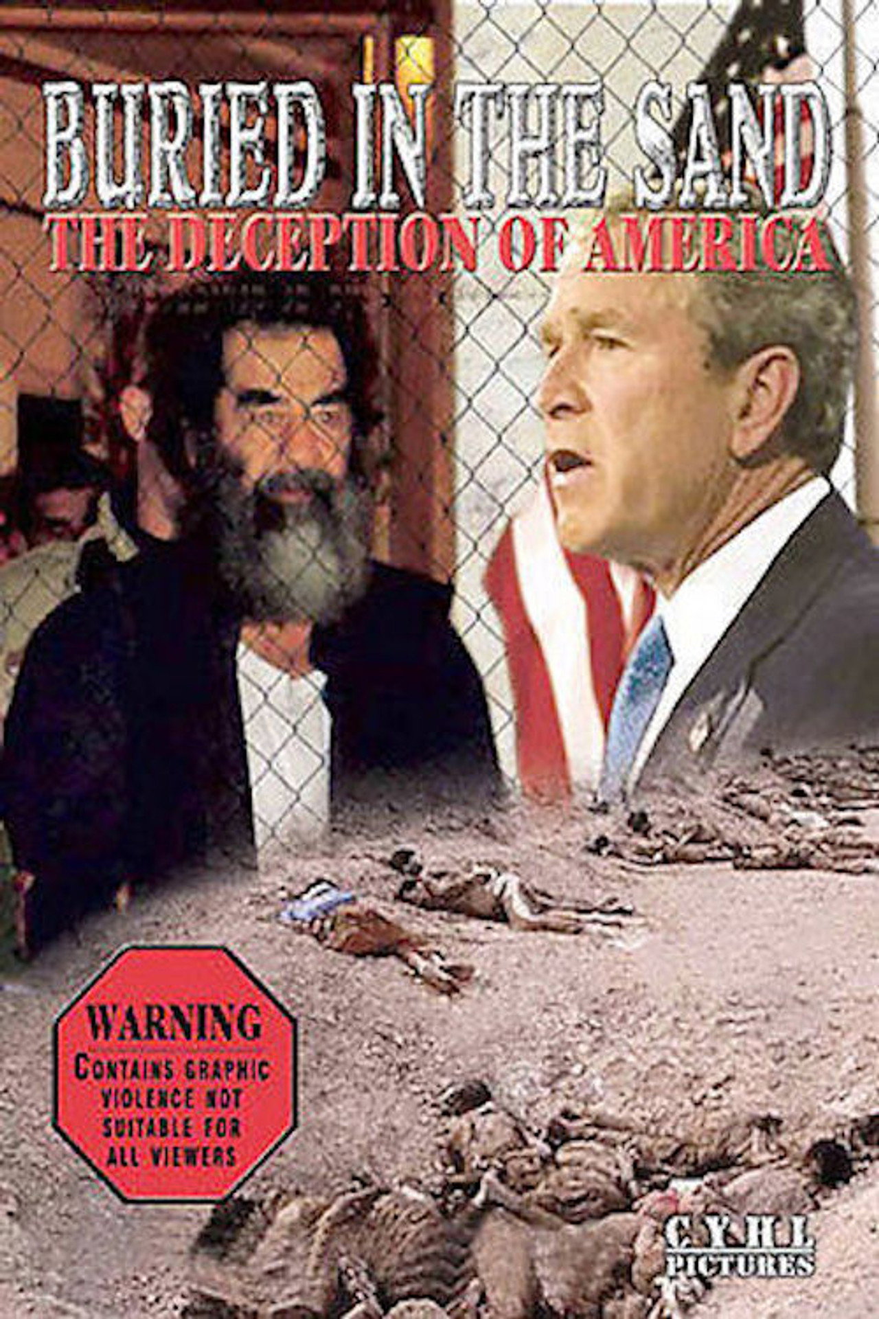 Buried in the Sand: The Deception of America filmaffisch
