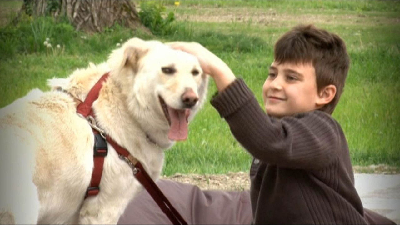 Missione cuccioli — Épisode 2