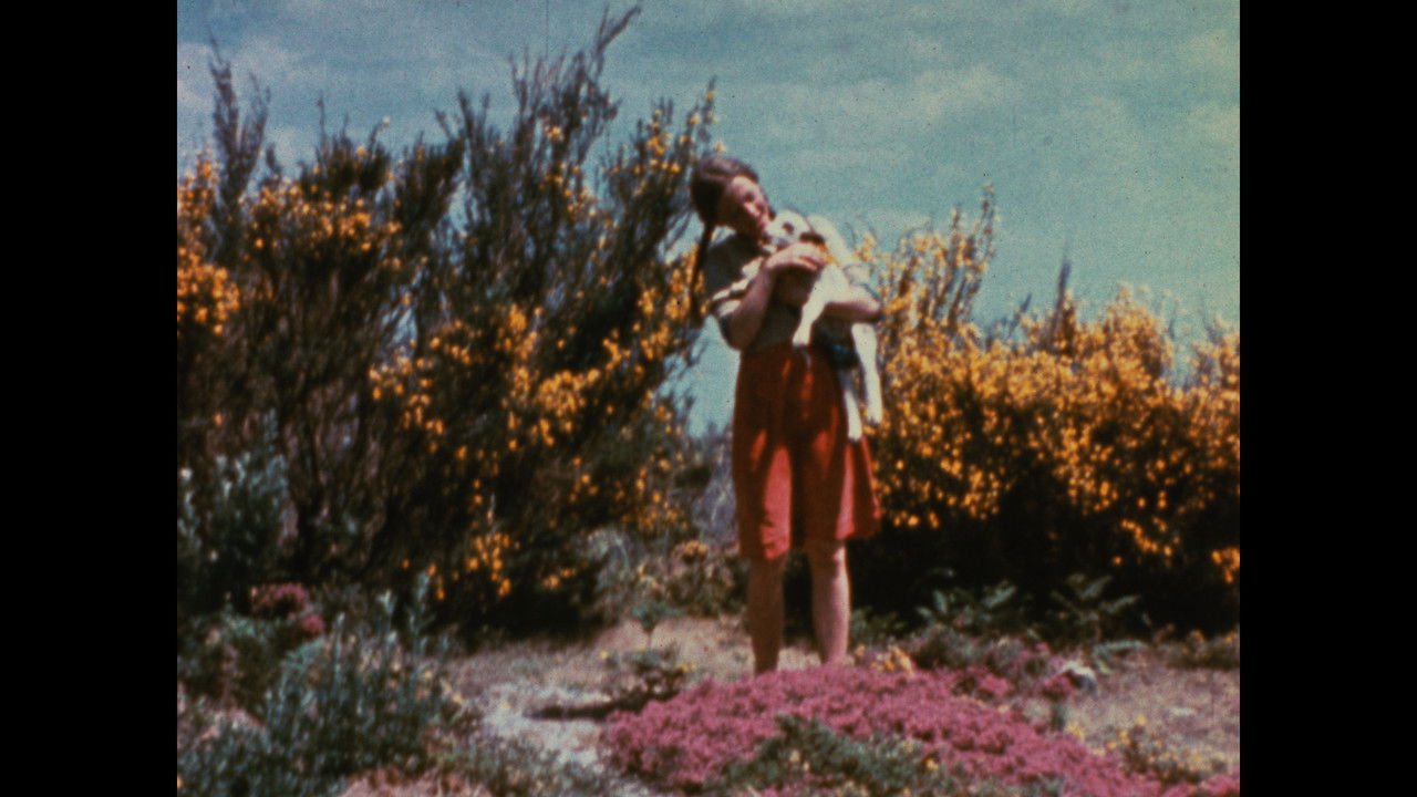 Një Pastore backdrop