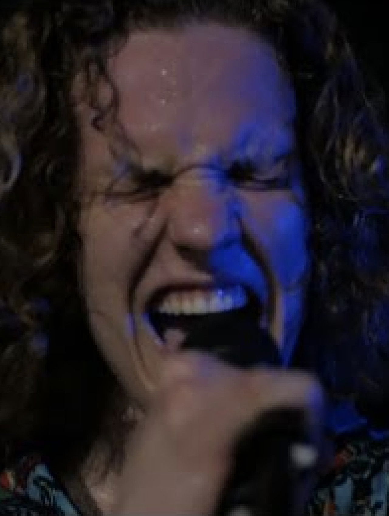 Yaupon Holly: Live at Lot 12 Backdrop