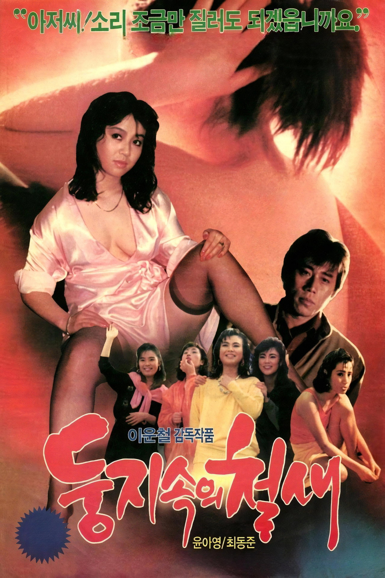 둥지 속의 철새 filmaffisch