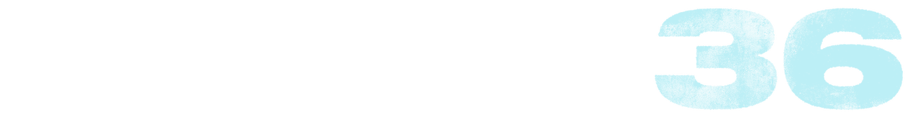 Бастион 36