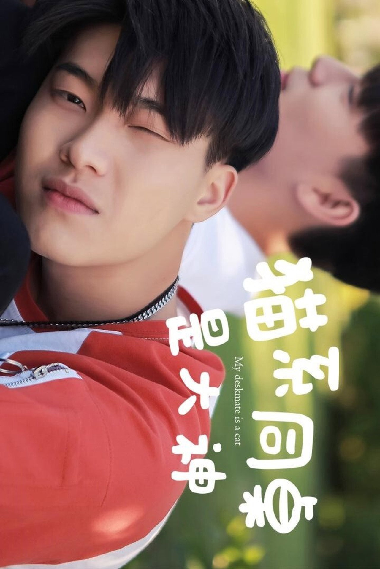 猫系同桌是大神 filmaffisch