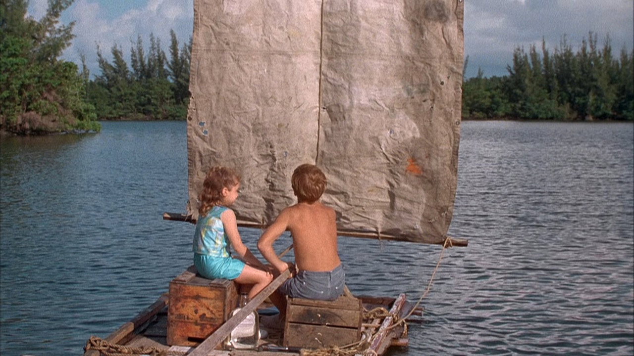 Flipper backdrop
