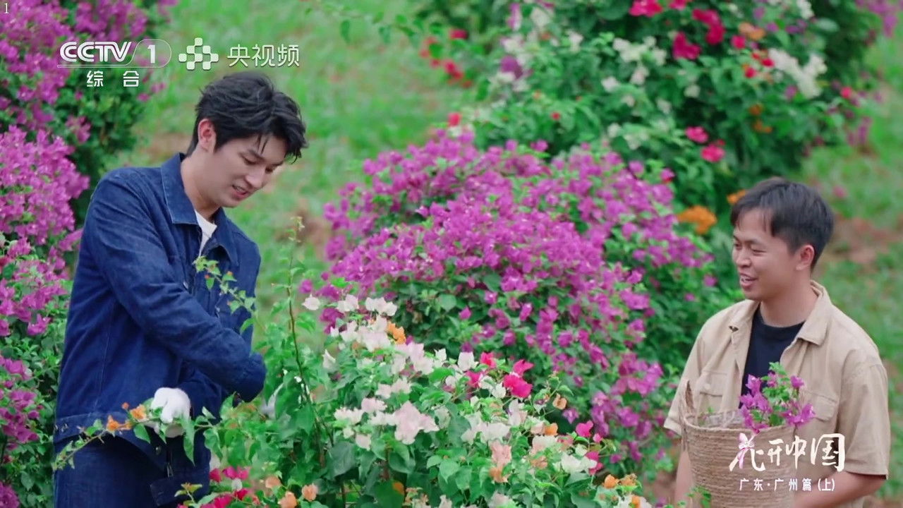 花开中国 — Épisode 7