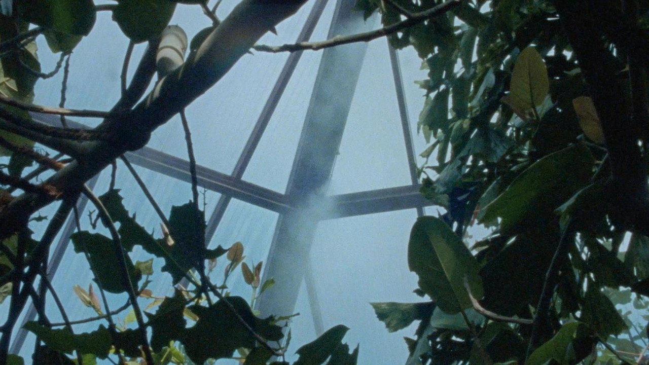 Immagine di copertina del trailer di Crocodile Nest