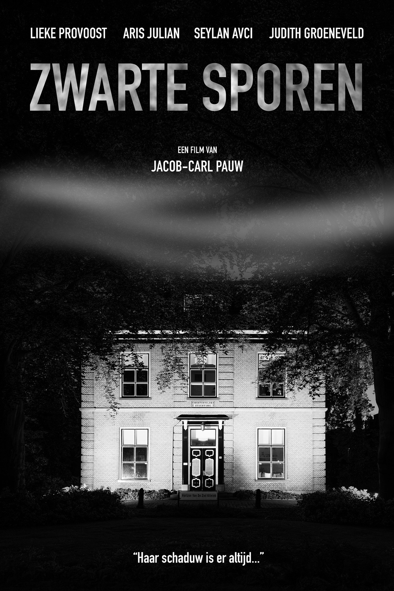 Zwarte Sporen filmaffisch