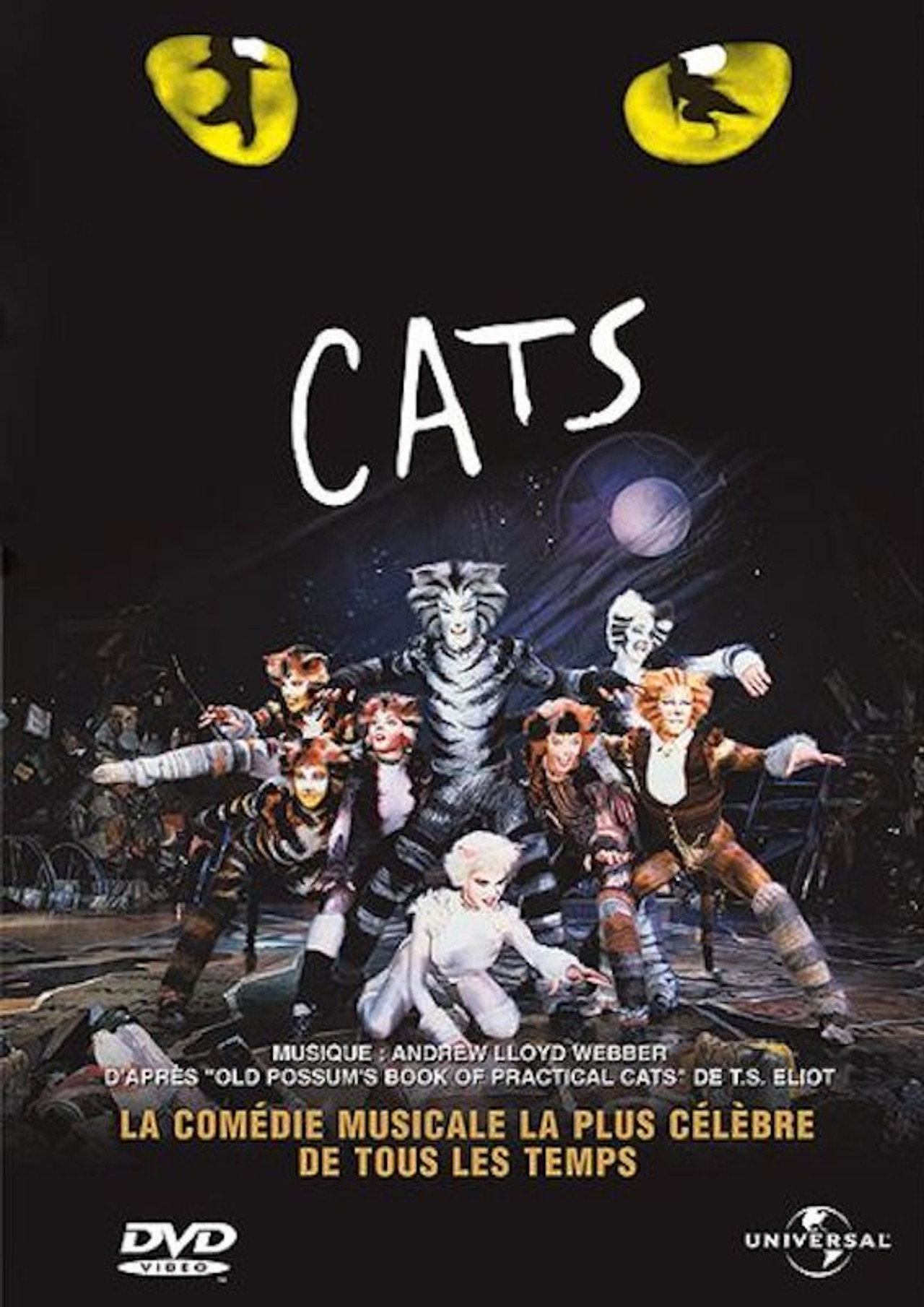 Cats poster