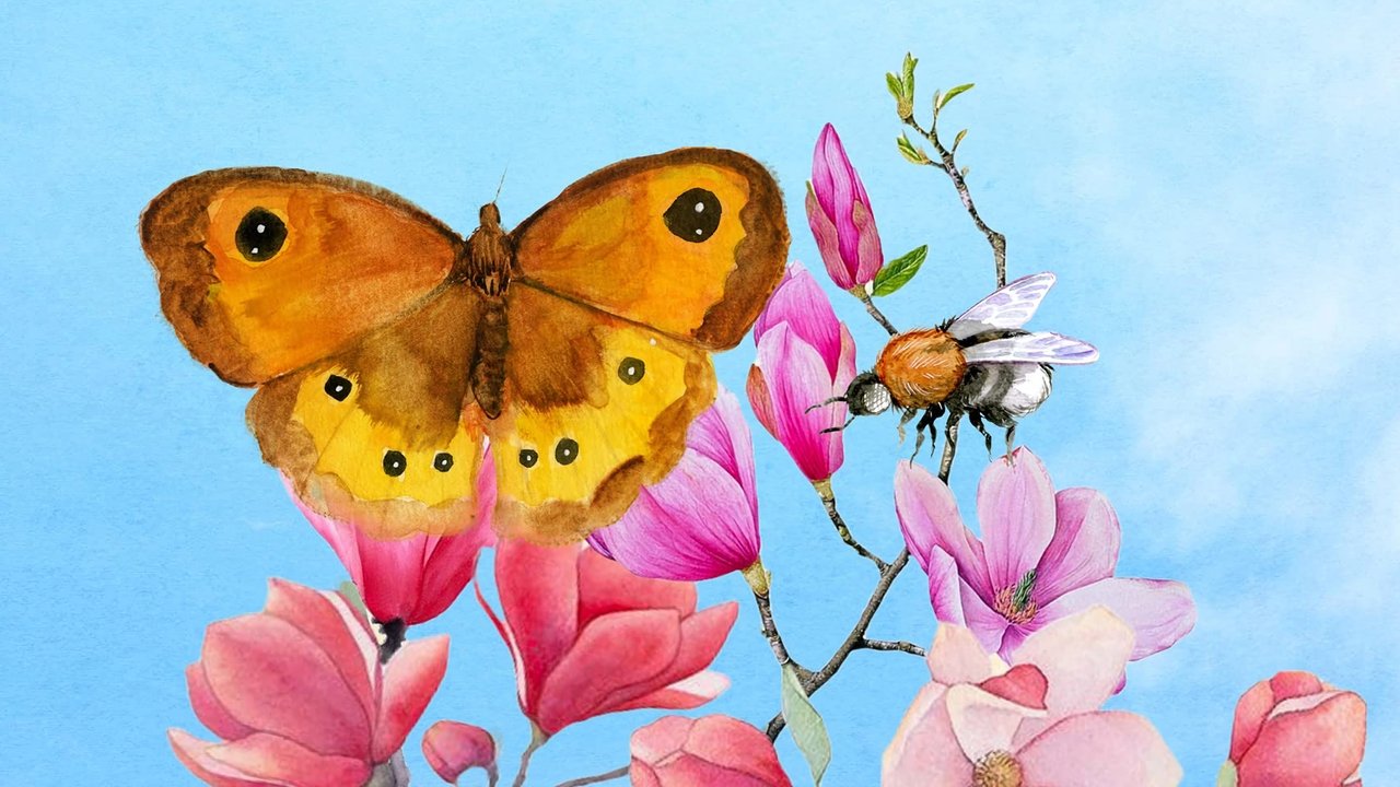 Children of the Sun - Wild Bees & Butterflies backdrop