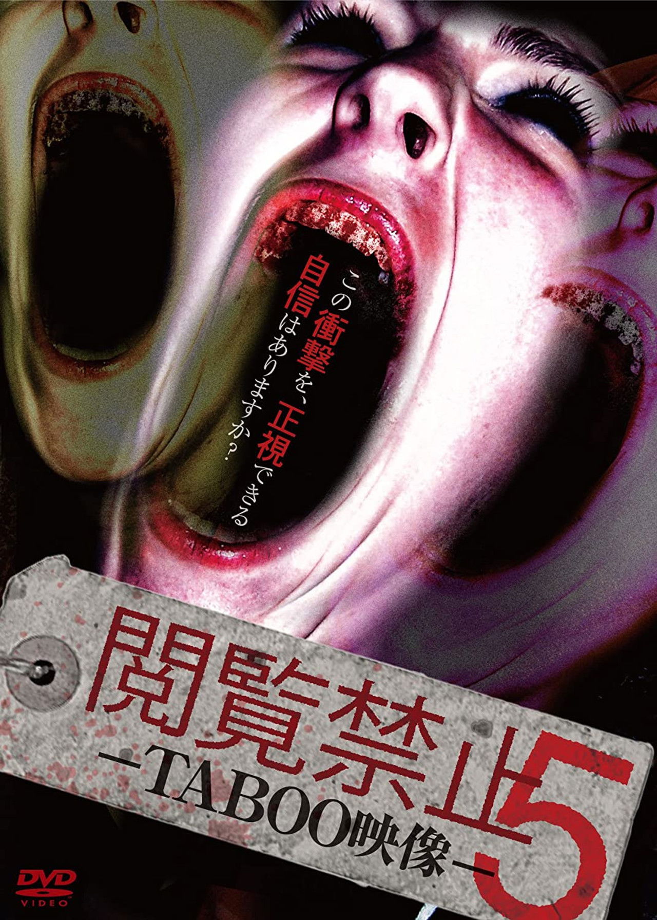 Viewing Prohibited 5 TABOO Video Backdrop