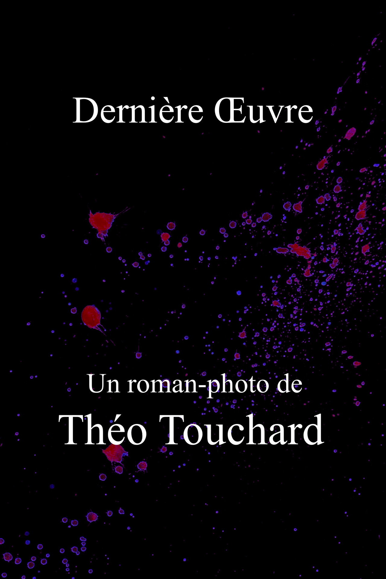 Dernière Œuvre poster