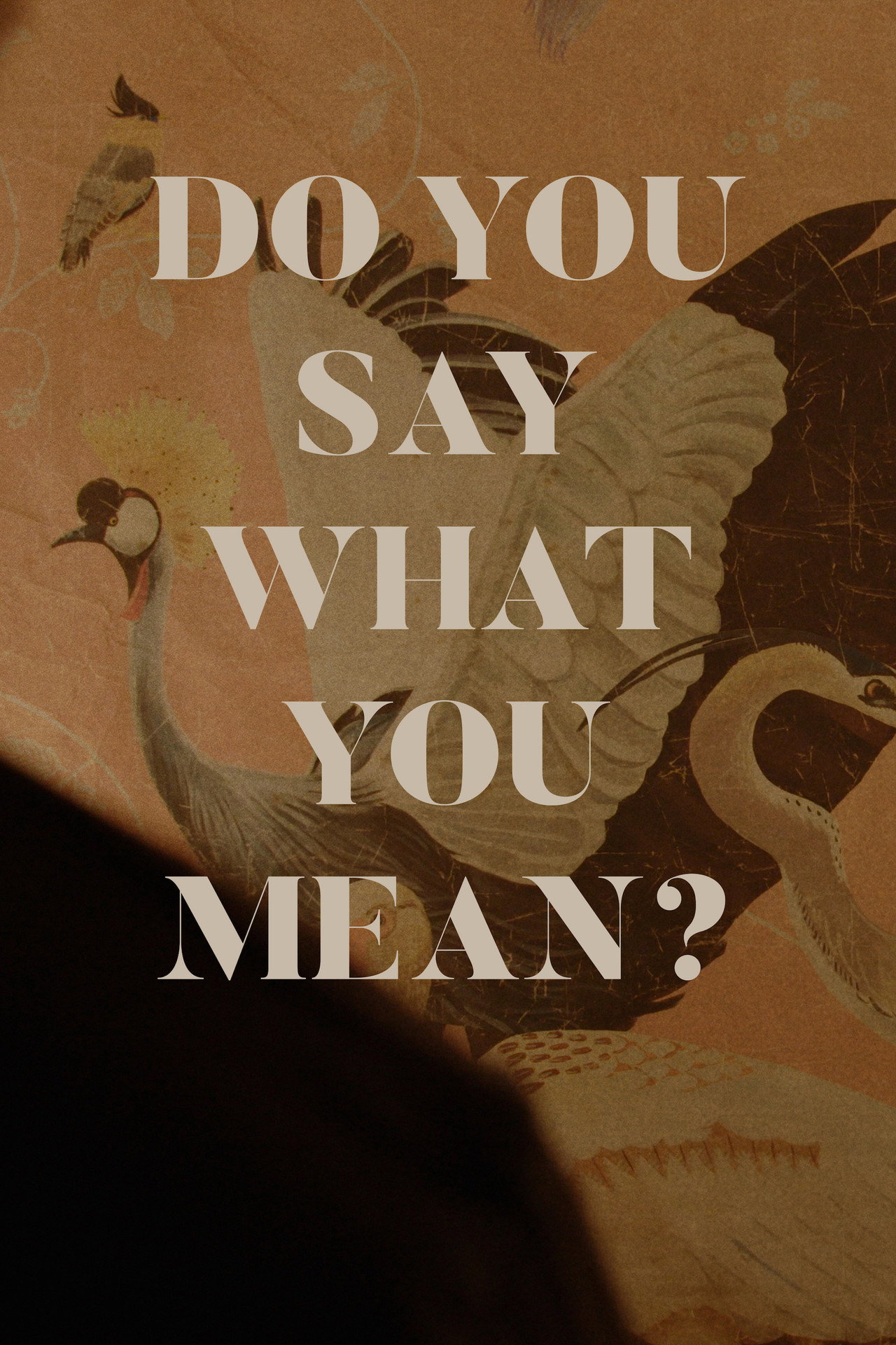 Do You Say What You Mean? filmaffisch