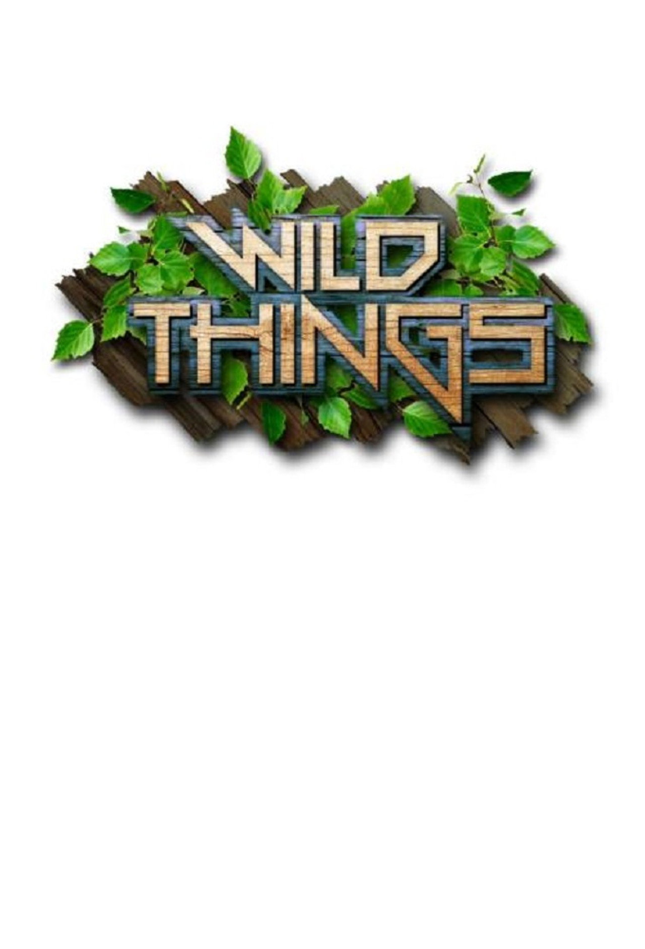 Wild Things poster