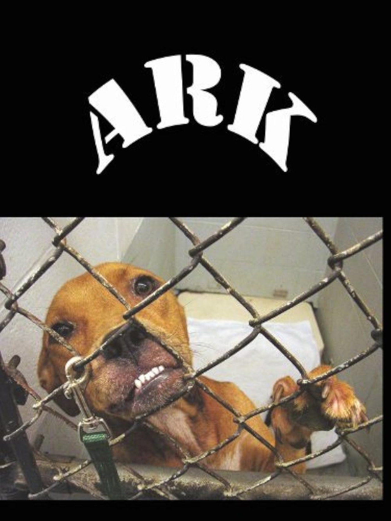 Animal Rescue Katrina