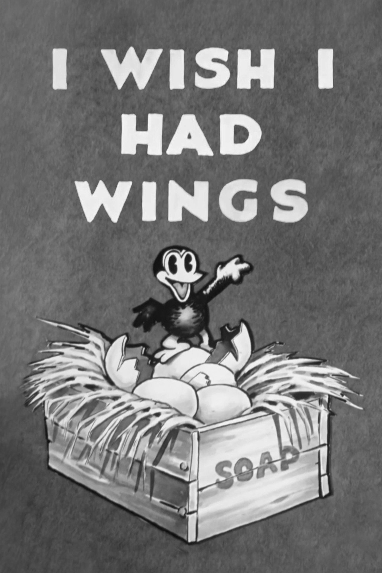 I Wish I Had Wings
