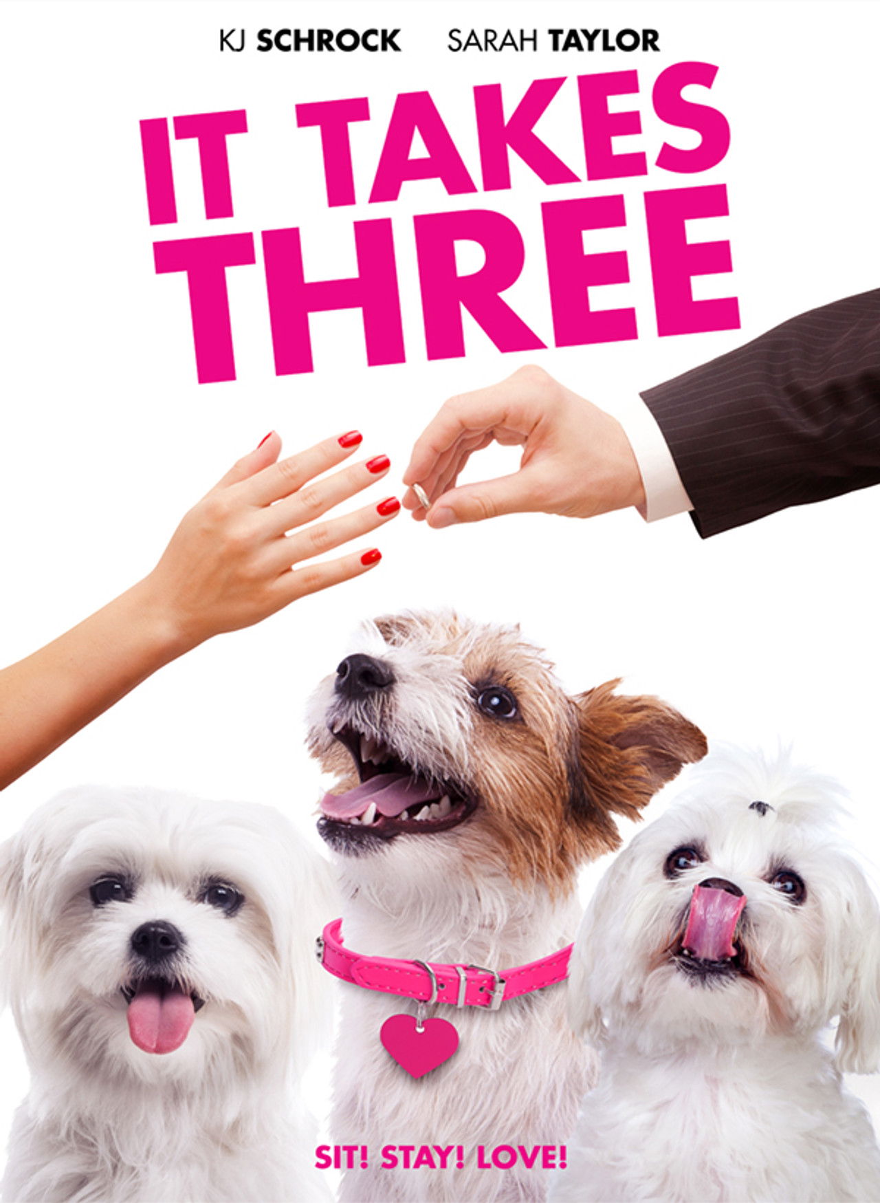 It Takes Three poster