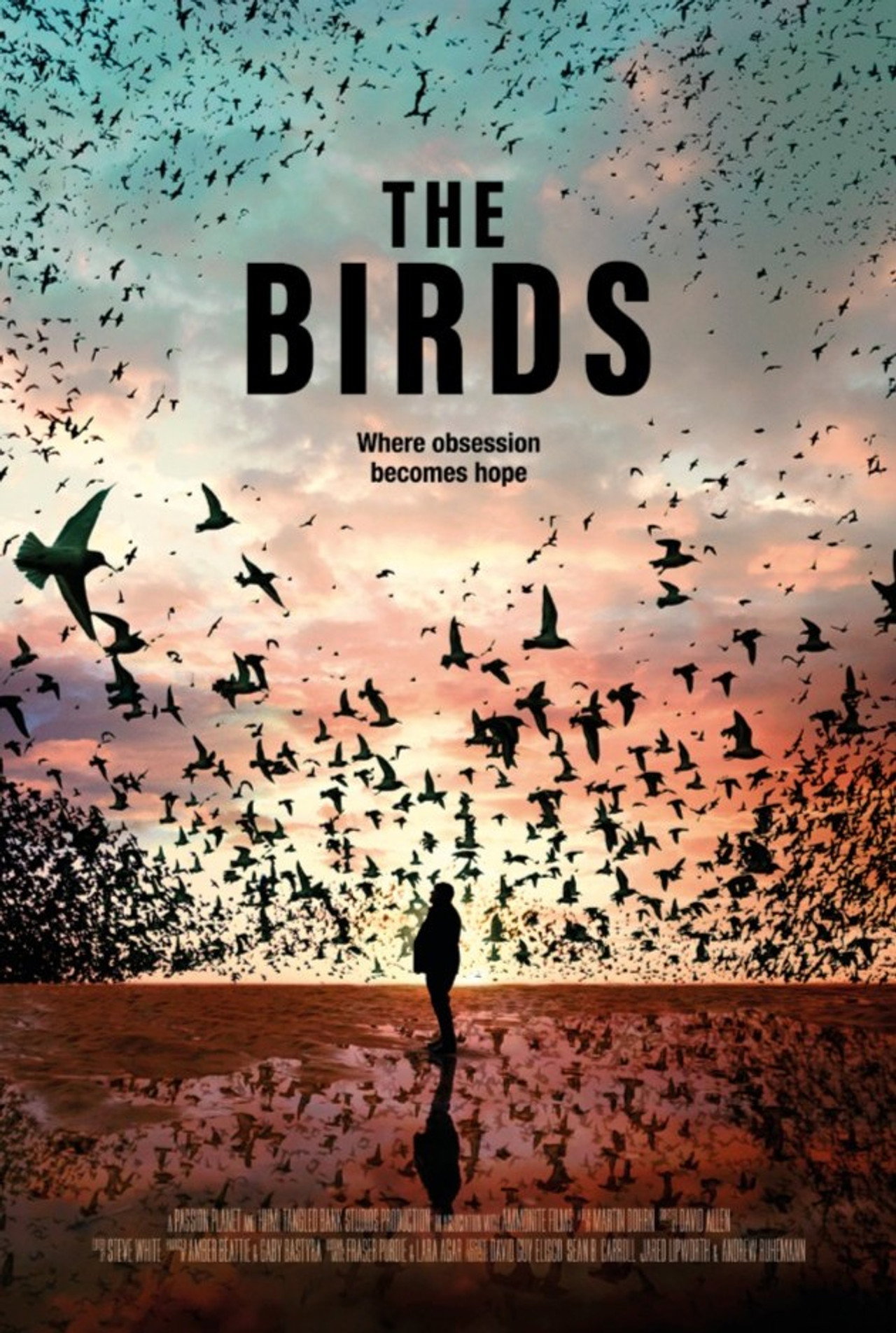 The Birds filmaffisch