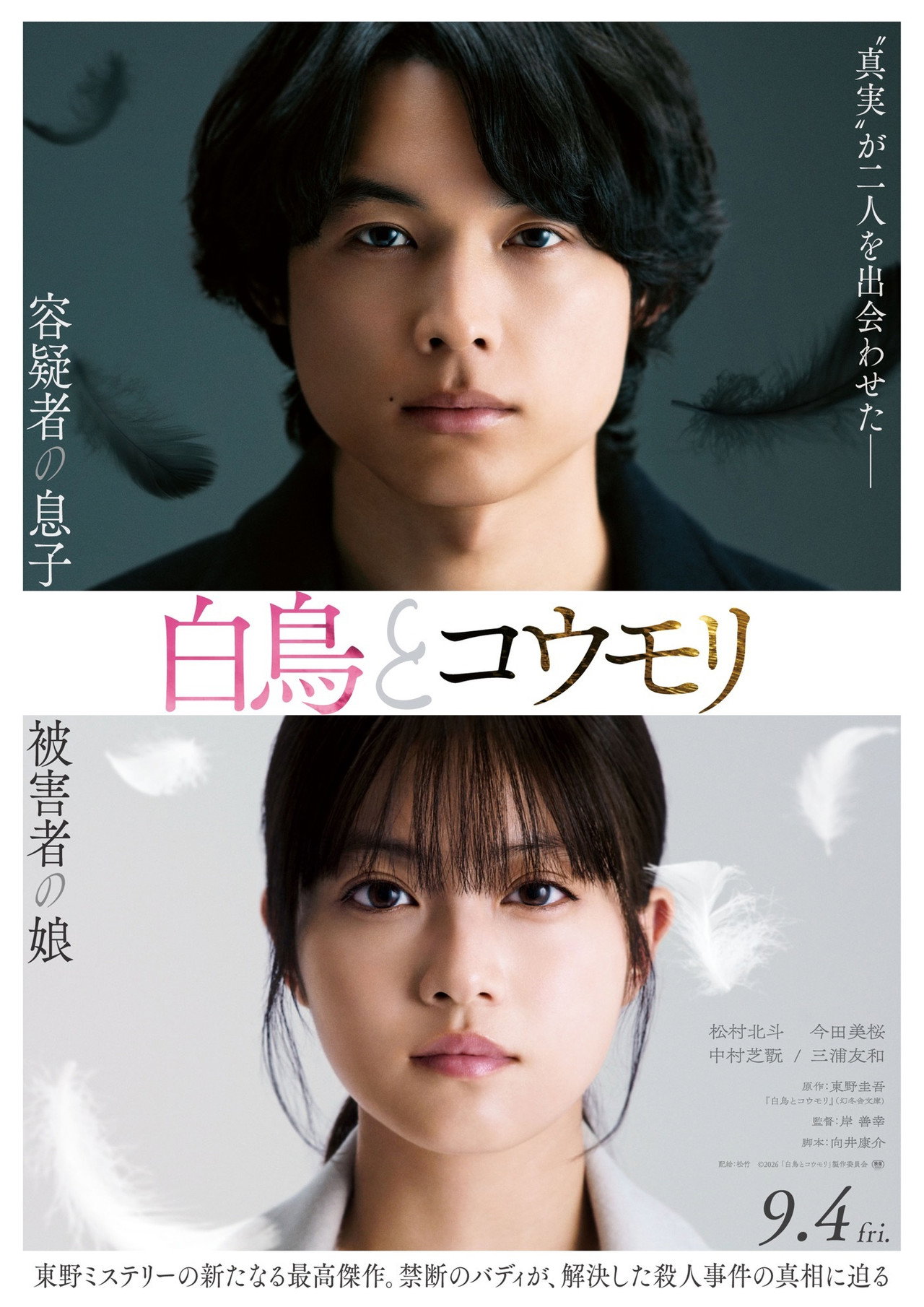 白鳥とコウモリ filmaffisch