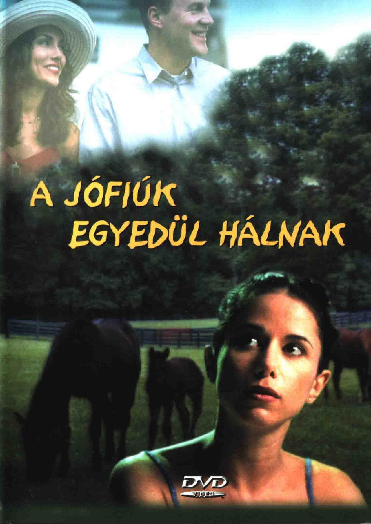 A jófiúk egyedül hálnak – plakát 3