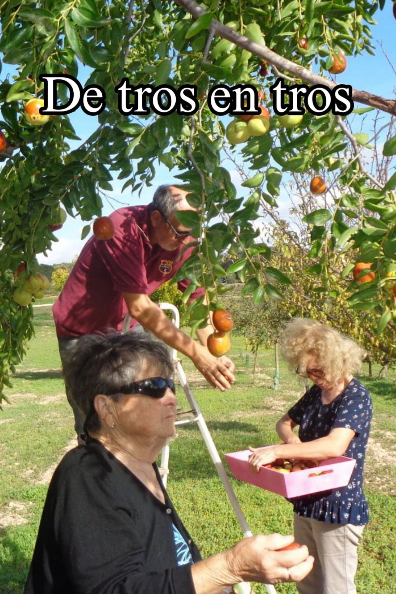 De tros en tros poster