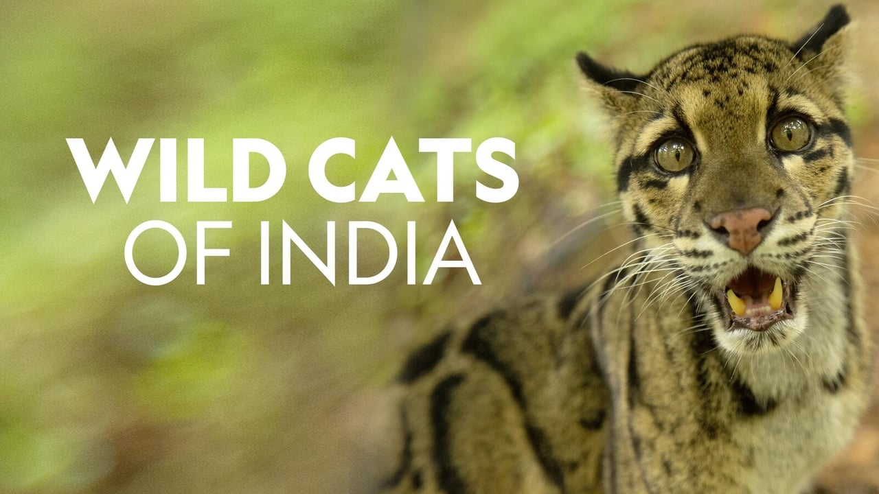 Wild Cats of India background