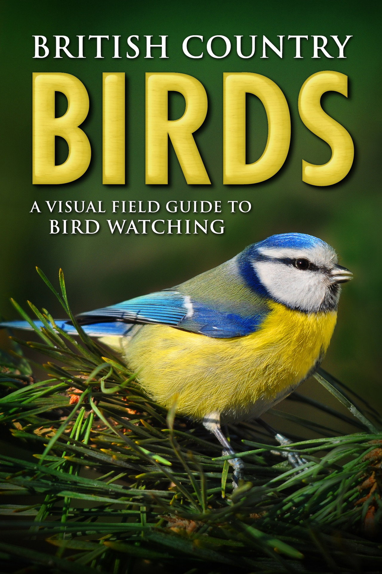 British Country Birds: A Visual Field Guide to Bird Watching poster