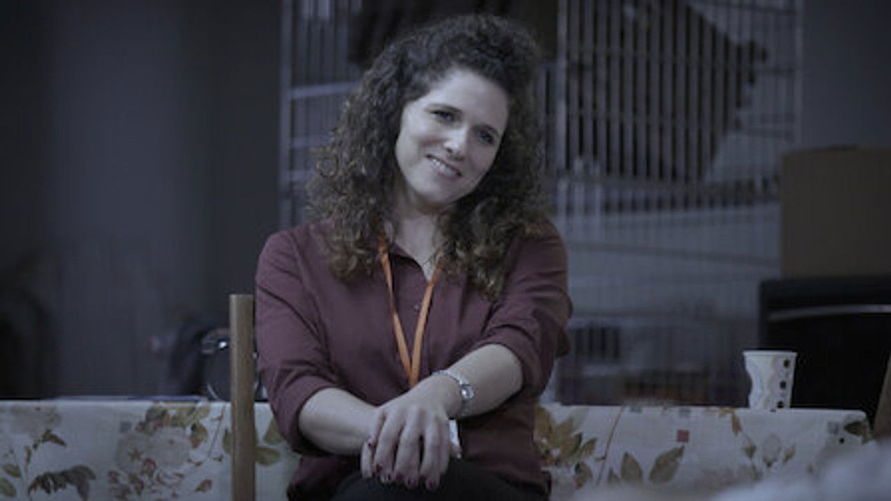 קופה ראשית backdrop