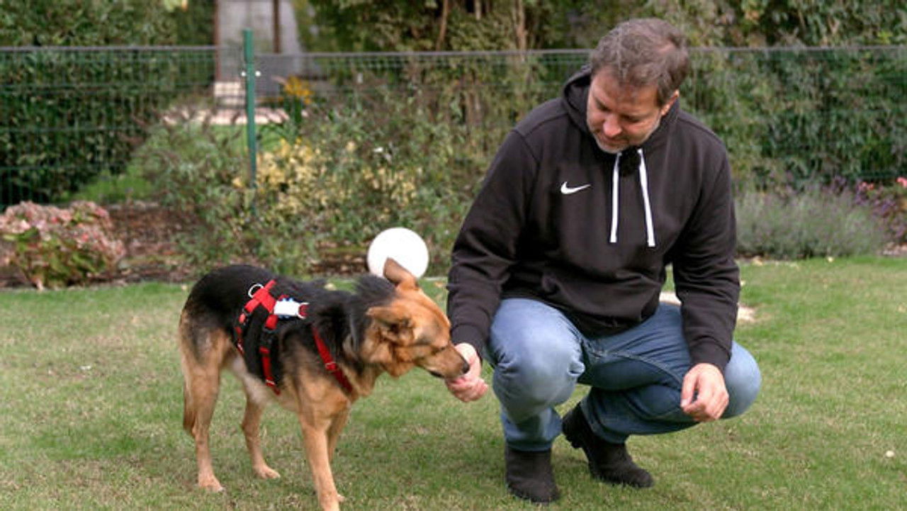 Die Unvermittelbaren - mit Martin Rütter — Épisode 4