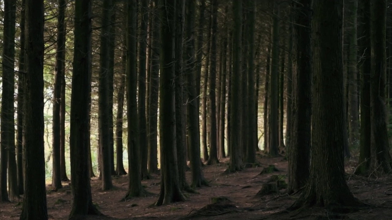 Life's Odyssey still 4