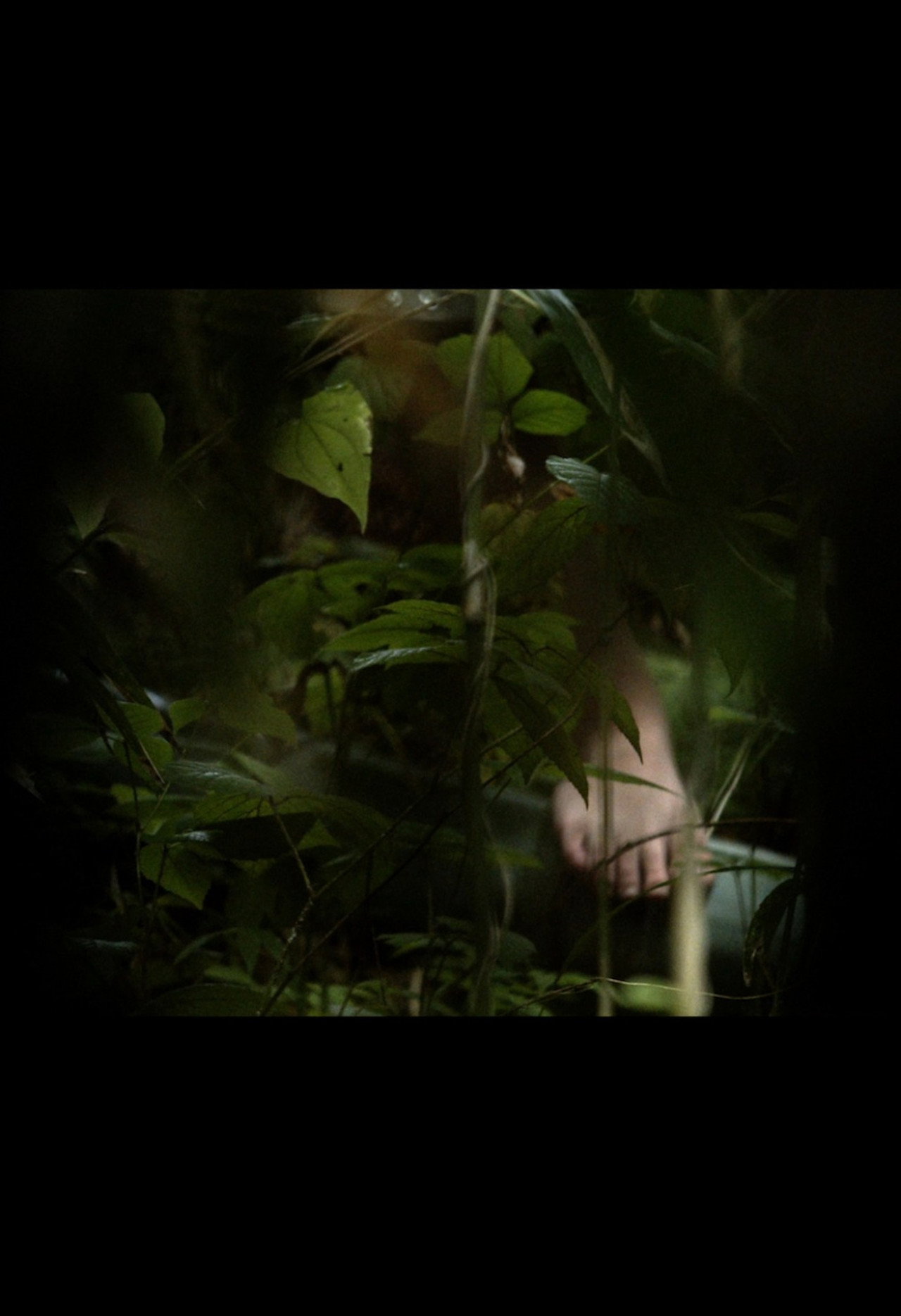 In A Grove